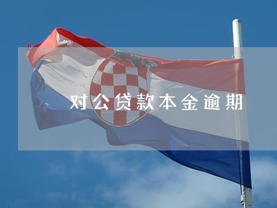 对公贷款本金逾期
