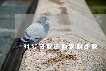 对公贷款逾期到期还款