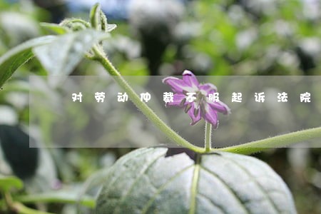 对劳动仲裁不服起诉法院如何判决 对劳动仲裁不服起诉法院如何判决