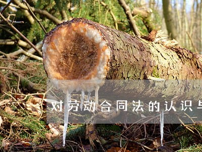 对劳动合同法的认识与看法 对劳动合同法的认识与看法