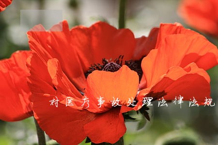 对医疗事故处理法律法规认识 对医疗事故处理法律法规认识