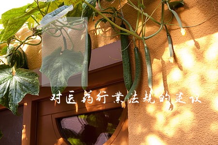对医药行业法规的建议
