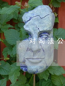 对司法公众开放日建议