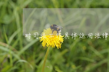 对司法工作具体运用法律问题 对司法工作具体运用法律问题