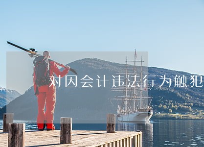 对因会计违法行为触犯刑律被追究 对因会计违法行为触犯刑律被追究
