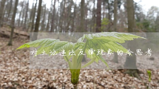 对土地违法反弹现象的冷思考 对土地违法反弹现象的冷思考