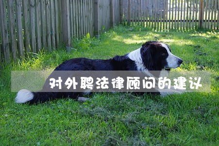 对外聘法律顾问的建议 对外聘法律顾问的建议
