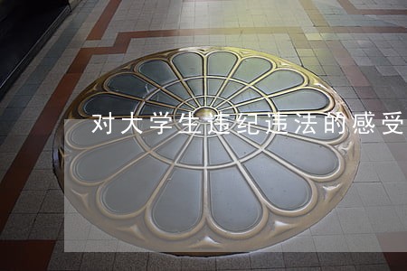 对大学生违纪违法的感受作文