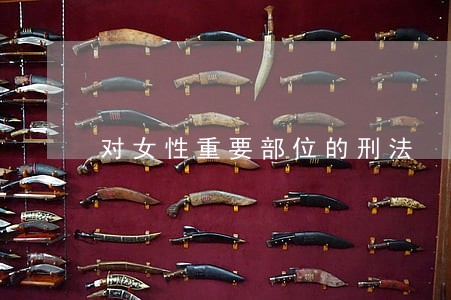 对女性重要部位的刑法 对女性重要部位的刑法