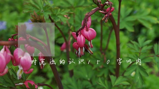 对宪法的认识150字以内