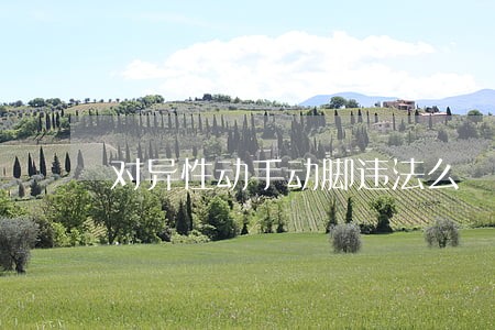 对异性动手动脚违法么