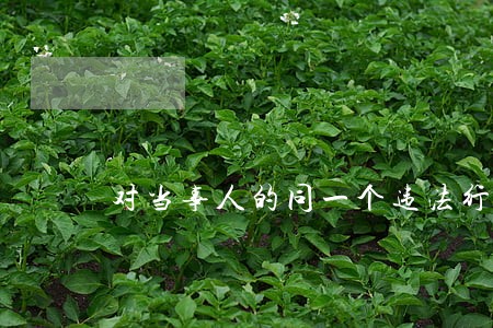 对当事人的同一个违法行为 对当事人的同一个违法行为