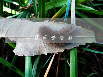 对待网贷逾期 对待网贷逾期