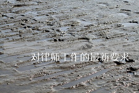 对律师工作的最新要求 对律师工作的最新要求