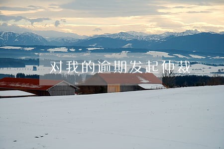 对我的逾期发起仲裁 对我的逾期发起仲裁