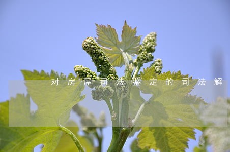 对房屋司法鉴定的司法解释 对房屋司法鉴定的司法解释
