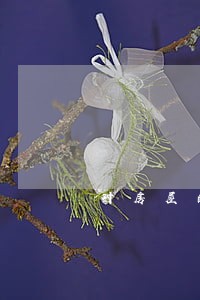 对房屋的诉讼保全措施 对房屋的诉讼保全措施
