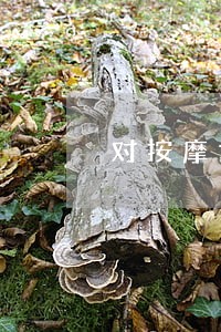 对按摩女搂搂抱抱违法吗