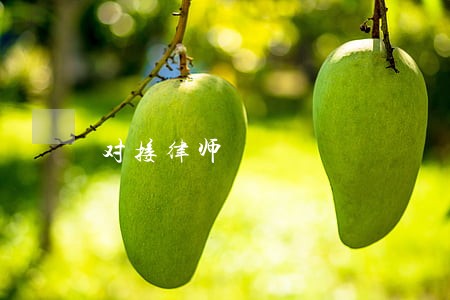 对接律师 对接律师