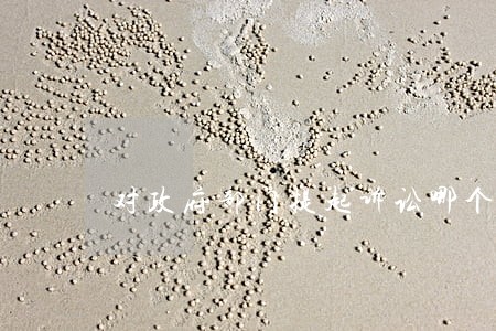 对政府部门提起诉讼哪个法院管辖