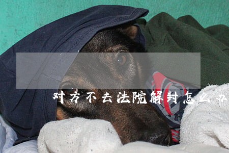 对方不去法院解封怎么办 对方不去法院解封怎么办