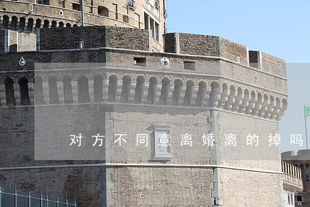 对方不同意离婚离的掉吗 对方不同意离婚离的掉吗
