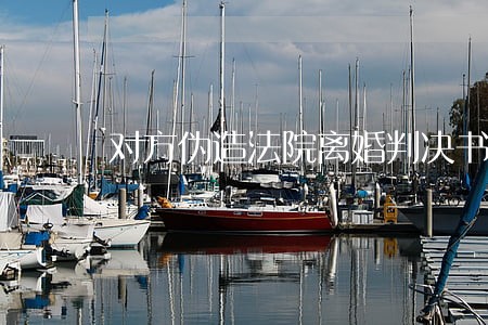 对方伪造法院离婚判决书企图再婚 对方伪造法院离婚判决书企图再婚