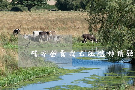 对方全责我去法院伸请强制执行了 对方全责我去法院伸请强制执行了