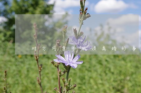 对方同意和我谈离婚的事 对方同意和我谈离婚的事