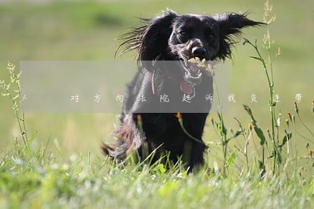 对方向法院起诉我负连带责任 对方向法院起诉我负连带责任
