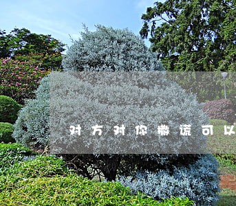 对方对你撒谎可以离婚么