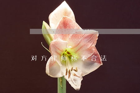 对方律师称不合法 对方律师称不合法