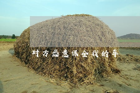 对方恶意保全我的车 对方恶意保全我的车