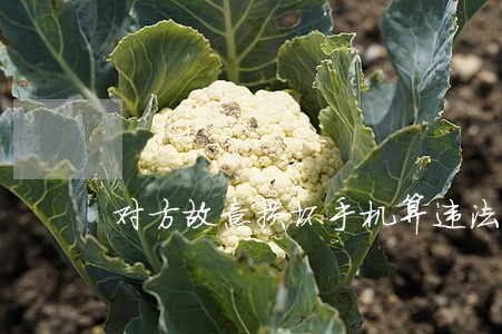 对方故意损坏手机算违法或侵权吗 对方故意损坏手机算违法或侵权吗
