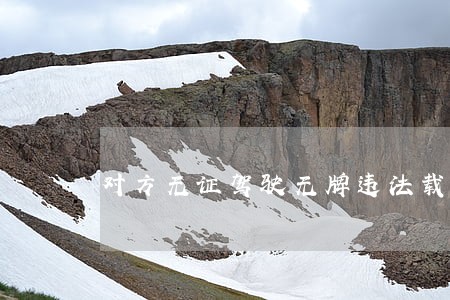 对方无证驾驶无牌违法载人逆行 对方无证驾驶无牌违法载人逆行