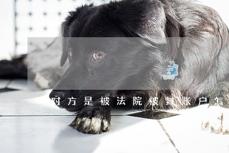 对方是被法院被封账户怎么办 对方是被法院被封账户怎么办