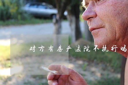 对方有房产法院不执行吗 对方有房产法院不执行吗