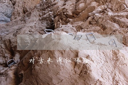 对方未诉讼保全 对方未诉讼保全