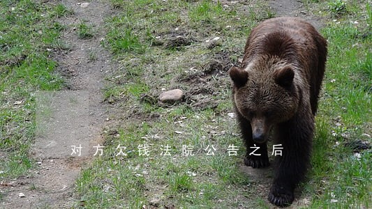 对方欠钱法院公告之后 对方欠钱法院公告之后