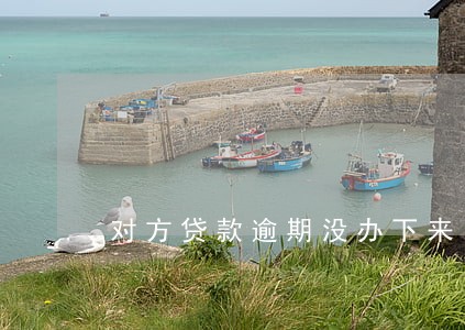 对方贷款逾期没办下来 对方贷款逾期没办下来