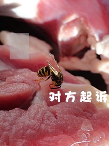 对方起诉不履行离婚协议 对方起诉不履行离婚协议
