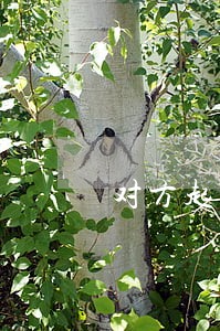 对方起诉离婚去法院哪个部门询问 对方起诉离婚去法院哪个部门询问