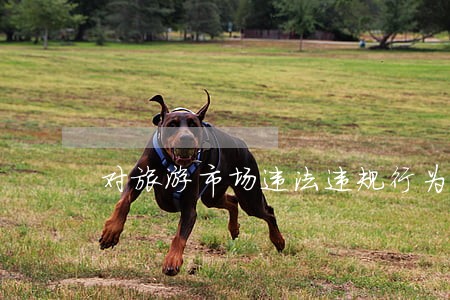 对旅游市场违法违规行为严处重罚 对旅游市场违法违规行为严处重罚