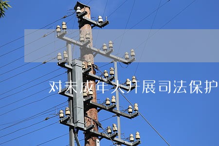 对未成年人开展司法保护 对未成年人开展司法保护
