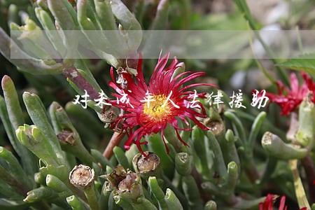 对未成年人法律援助 对未成年人法律援助