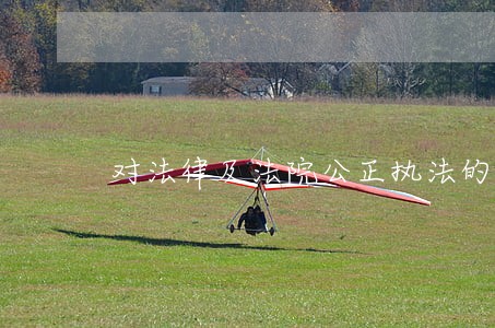对法律及法院公正执法的评论