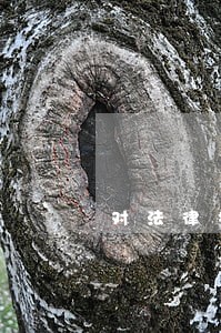 对法律援助工作的建议 对法律援助工作的建议