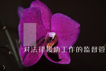 对法律援助工作的监督管理流程图 对法律援助工作的监督管理流程图