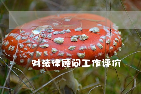 对法律顾问工作评价