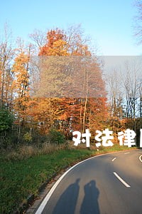 对法律顾问的介绍 对法律顾问的介绍